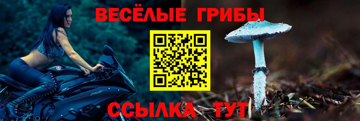 Галлюциногенные грибы прущие грибы  Вход с VPN  Чебоксары  Псилоцибиновые грибы Magic Shrooms 